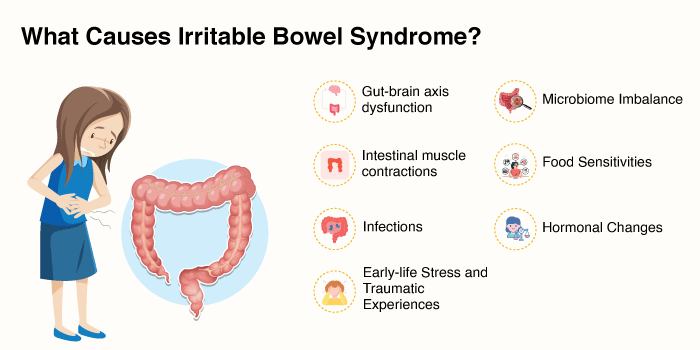 Irritable bowel syndrome causes