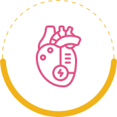 Cardiac Consultations and Evaluations
