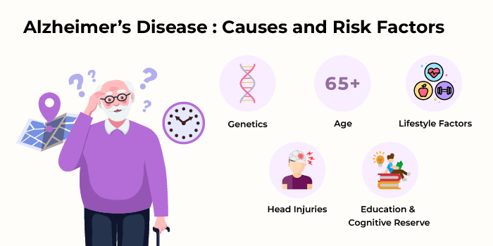 Alzheimer’s Disease: Causes & Risk Factors