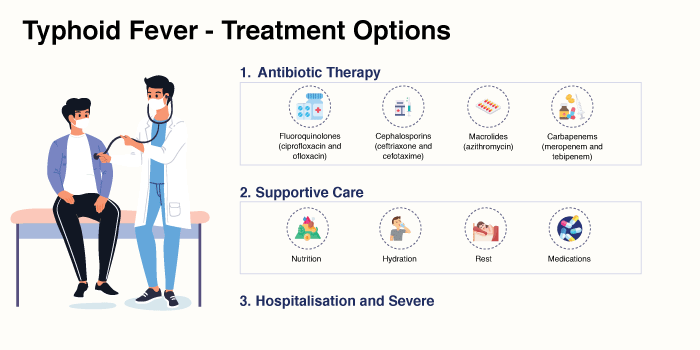 Typhoid Fever - Treatment Options
