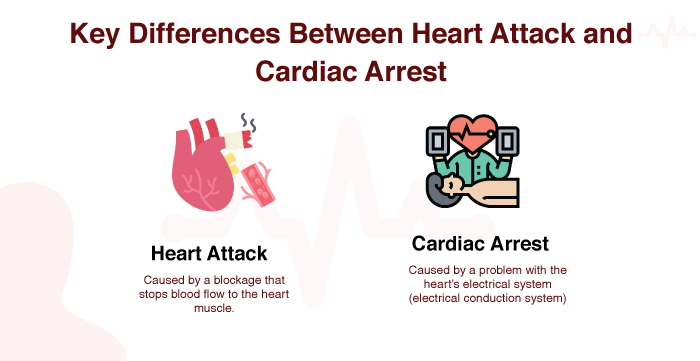  Differences between heart attack and cardiac arrest