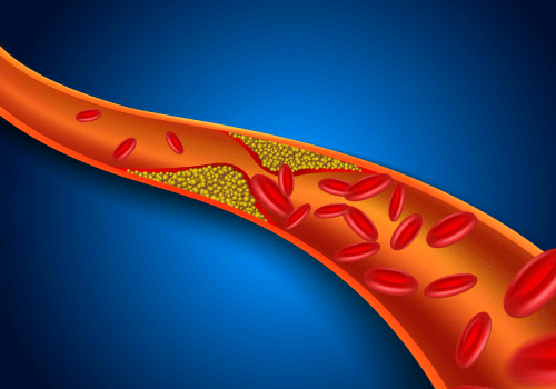 blood flow in heart