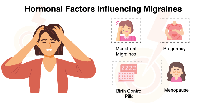 Hormonal Factors Influencing Migraines